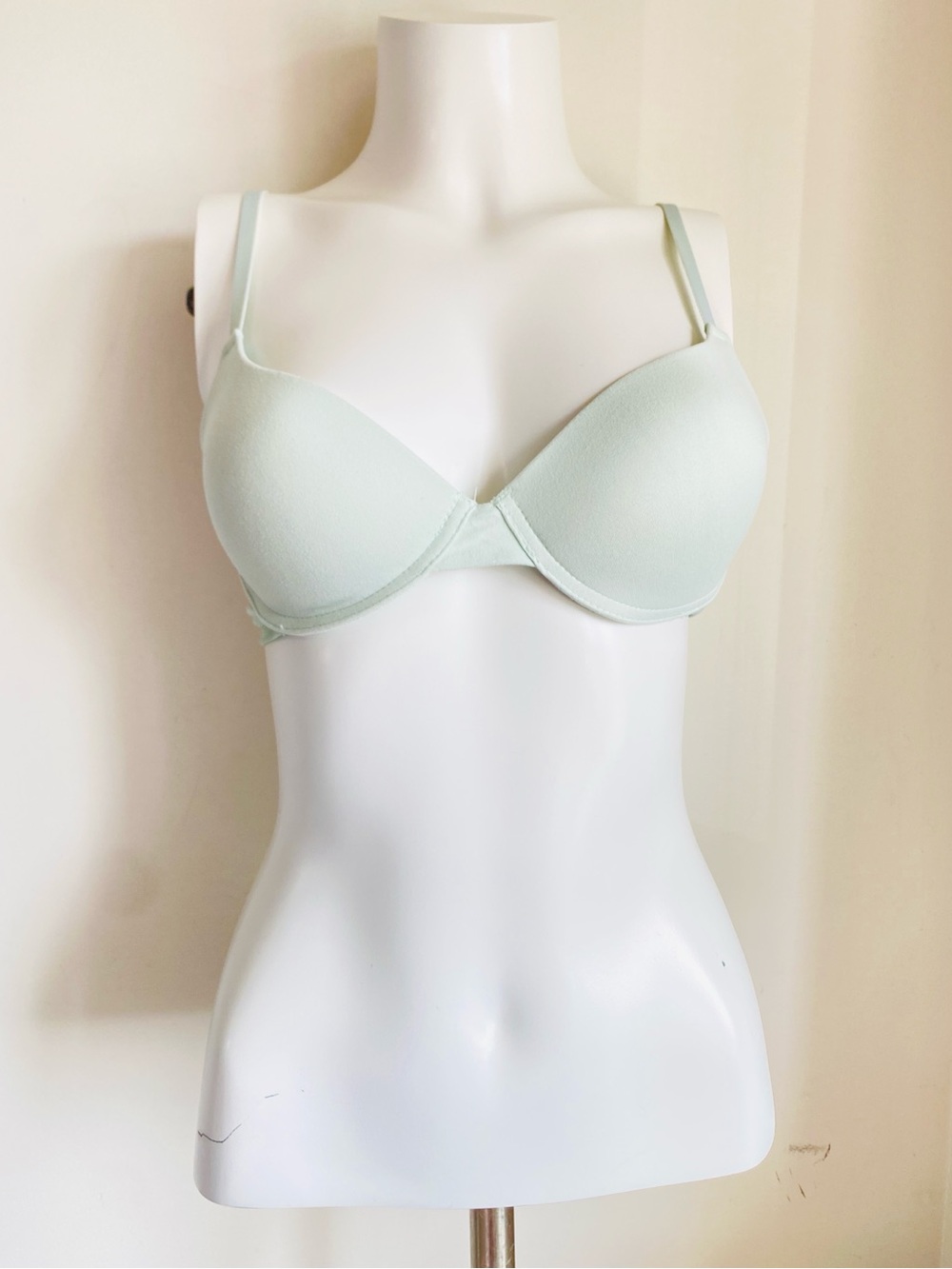 BLISS Canada Bra Light Mint Sage
36 B